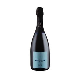 Prosseco Terra Vizina Cuvée 0,75l